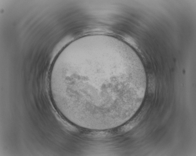 X0000061111474200512161401