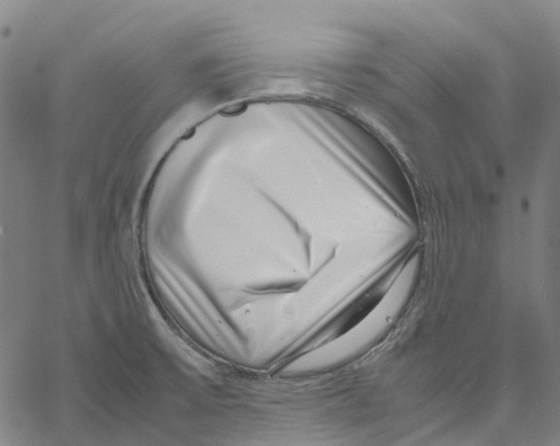 X0000061111475200512161401