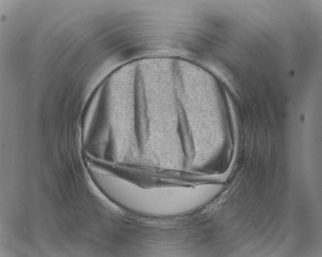 X0000061111476200512161401