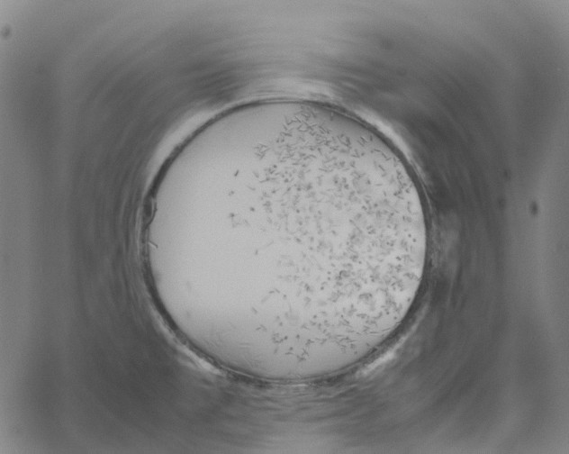 X0000061111477200512161401