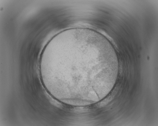 X0000061111478200512161401