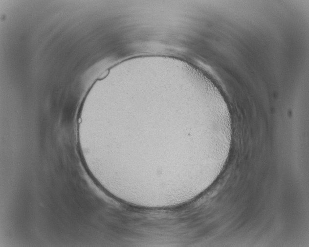 X0000061111479200512161401