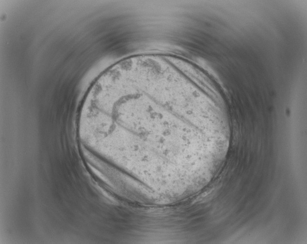 X0000061111480200512161401