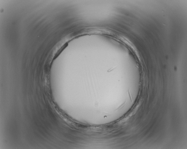 X0000061111481200512161401