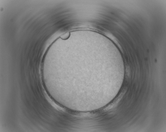 X0000061111482200512161401