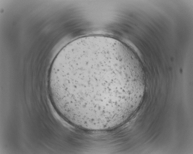 X0000061111483200512161401