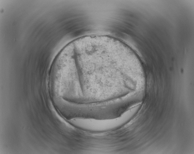 X0000061111484200512161401