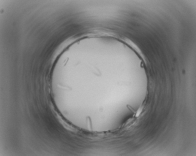 X0000061111485200512161401