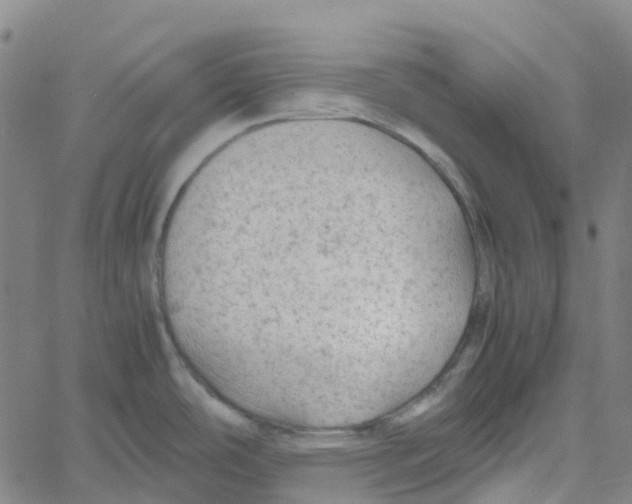 X0000061111486200512161401