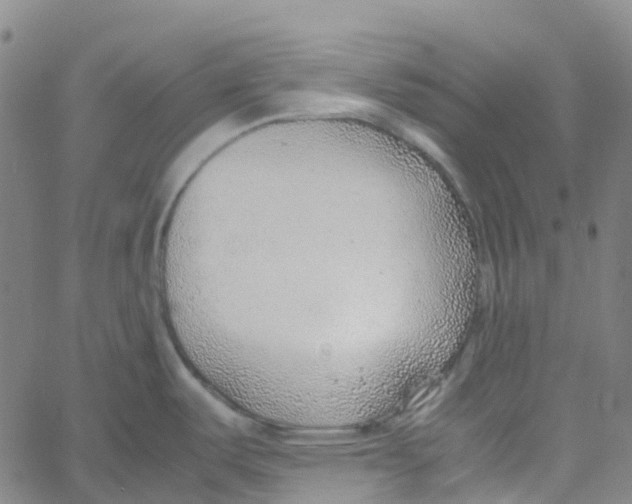 X0000061111487200512161401