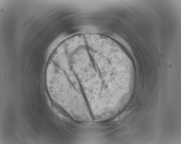 X0000061111488200512161401