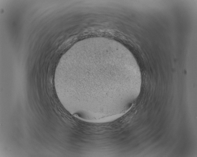 X0000061111489200512161400