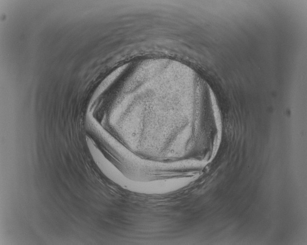 X0000061111490200512161400