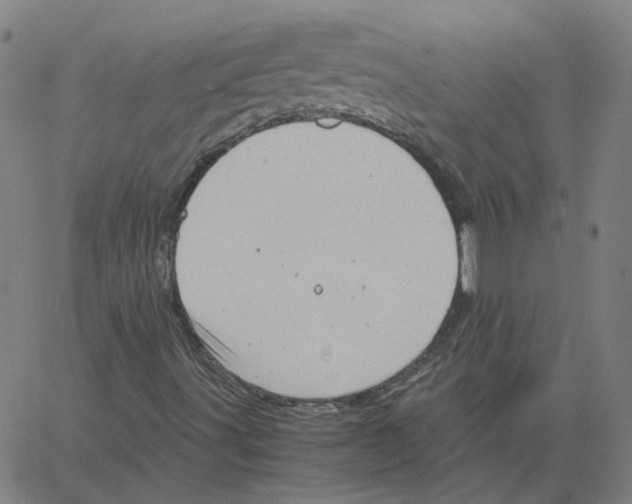 X0000061111491200512161400