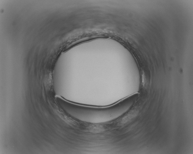 X0000061111492200512161400