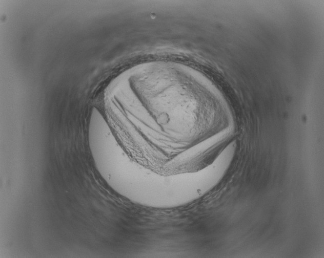 X0000061111493200512161400