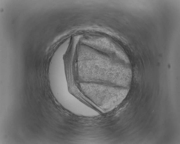 X0000061111494200512161400