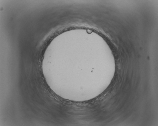 X0000061111495200512161400