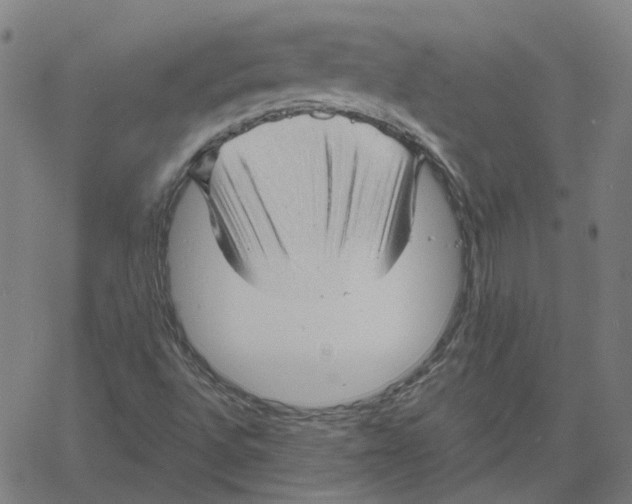 X0000061111496200512161400