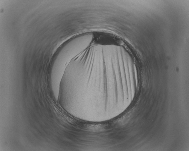 X0000061111497200512161400