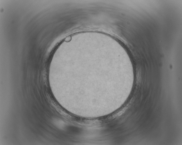 X0000061111498200512161400