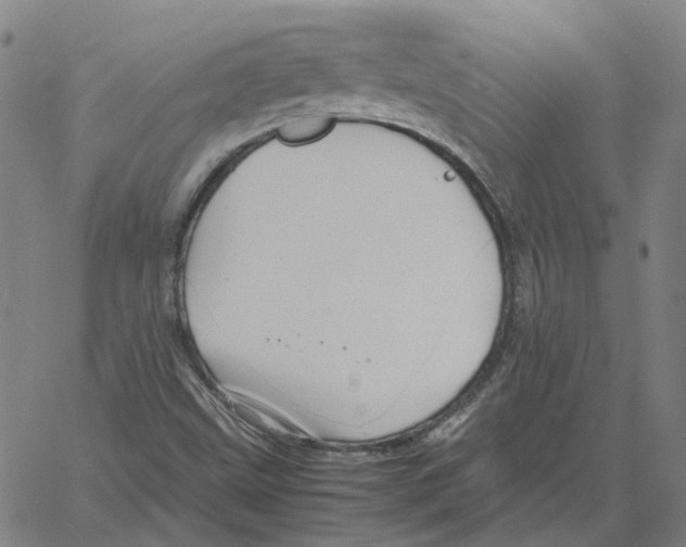 X0000061111499200512161400