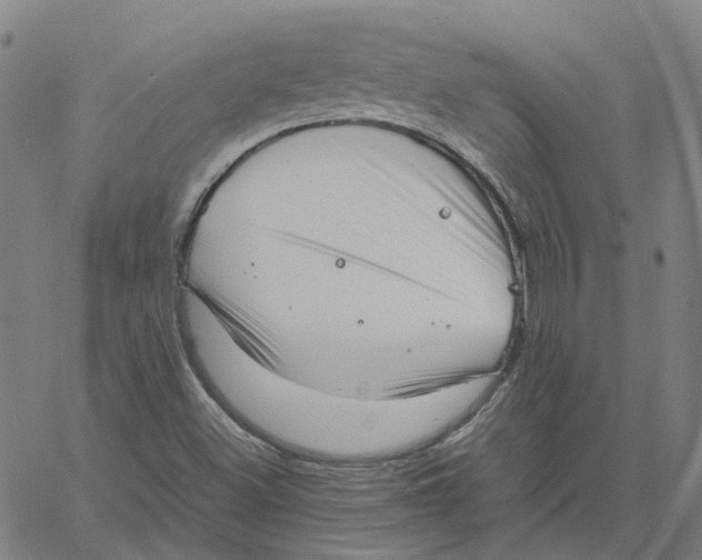 X0000061111500200512161400