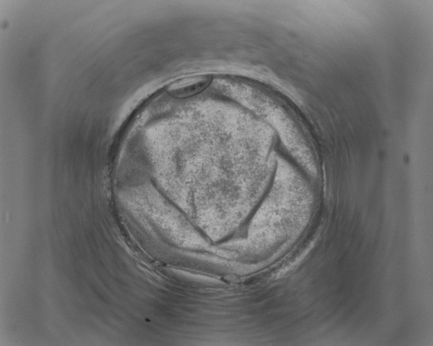 X0000061111501200512161400