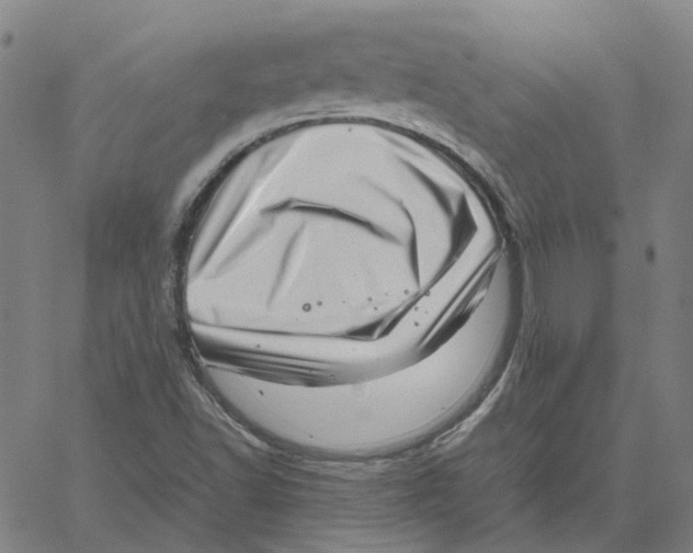 X0000061111502200512161400