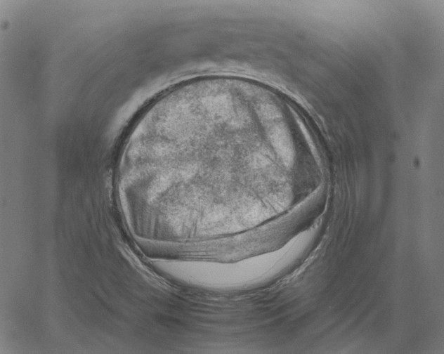 X0000061111503200512161400