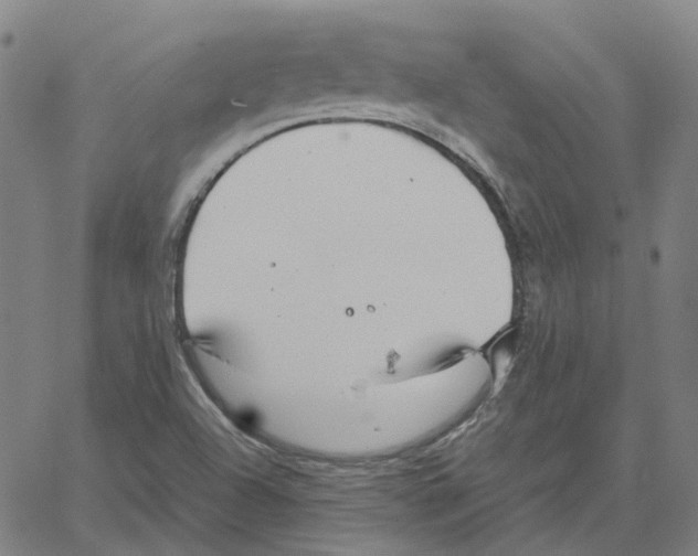 X0000061111504200512161400