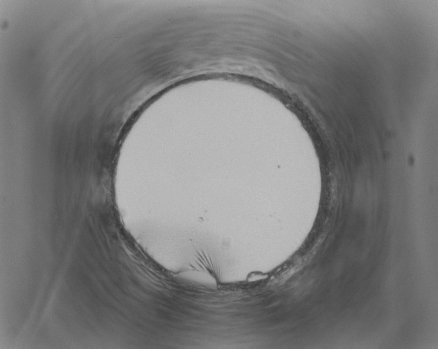 X0000061111505200512161400