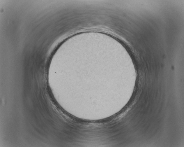 X0000061111506200512161400