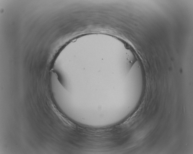 X0000061111507200512161400