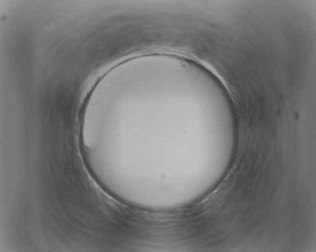 X0000061111508200512161400