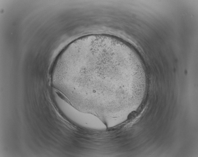 X0000061111509200512161400