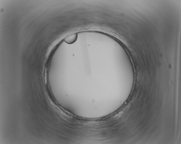 X0000061111510200512161400