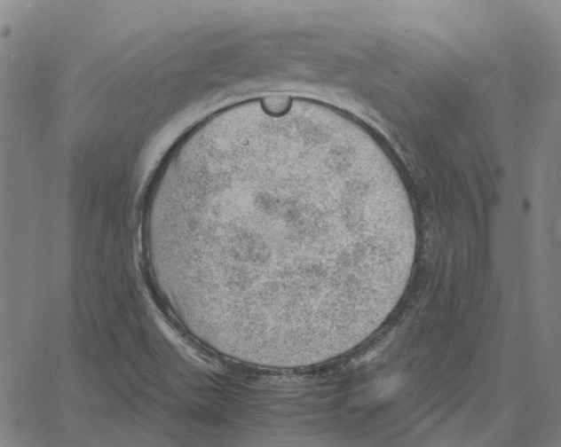 X0000061111511200512161400