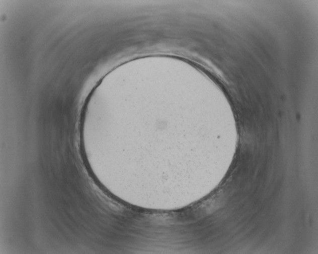 X0000061111512200512161400