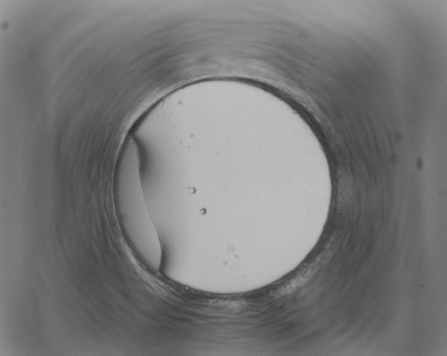 X0000061111513200512161400