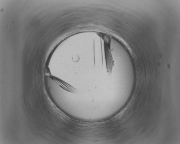 X0000061111514200512161400