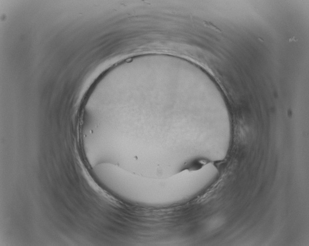 X0000061111515200512161400