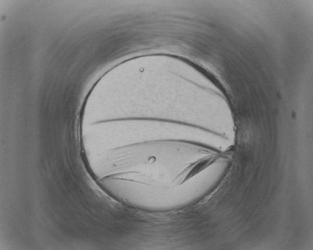 X0000061111516200512161400