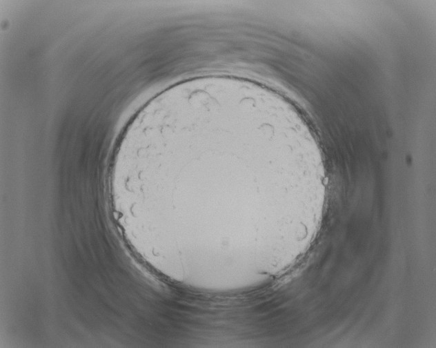 X0000061111517200512161400