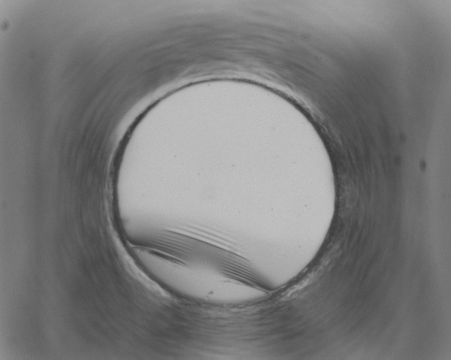 X0000061111518200512161400