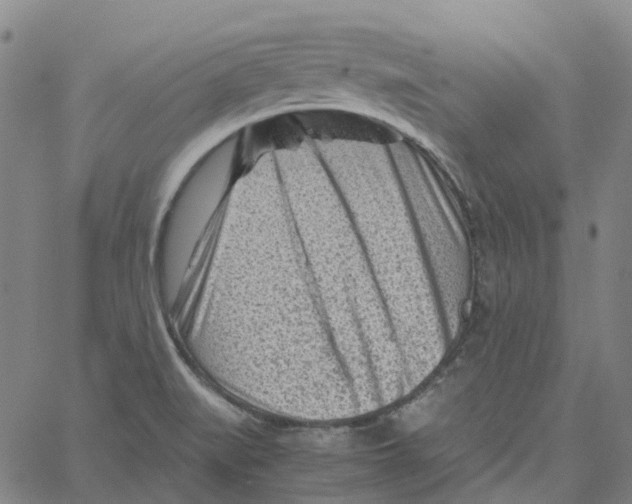 X0000061111519200512161400