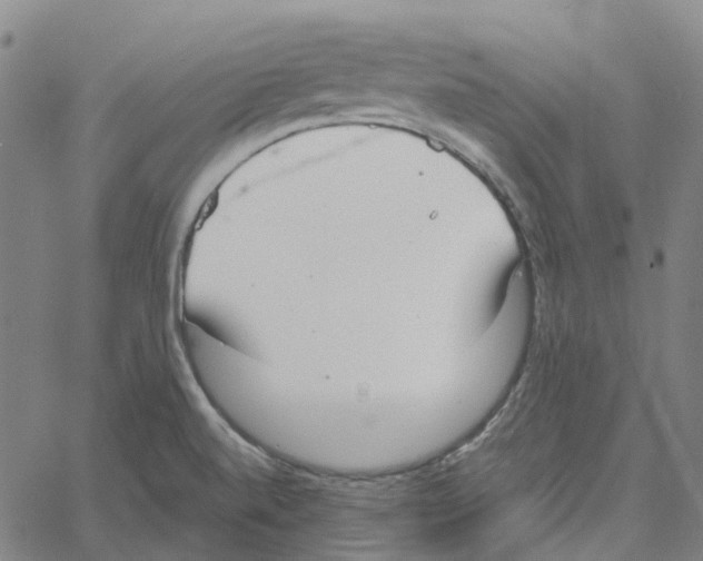 X0000061111520200512161400