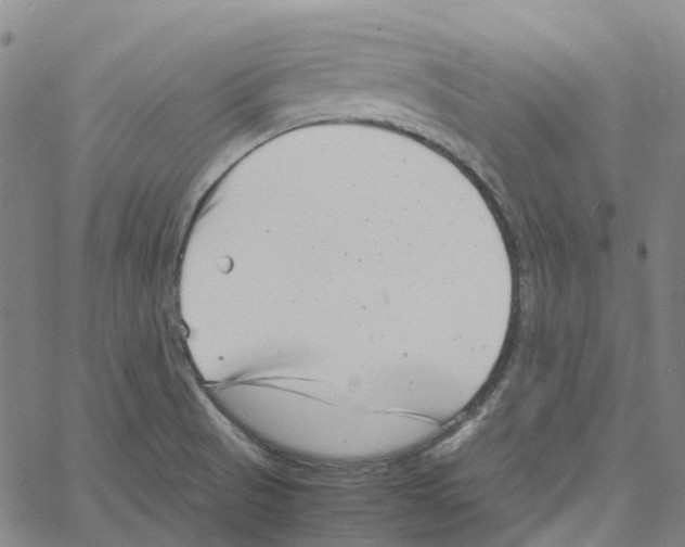 X0000061111521200512161400