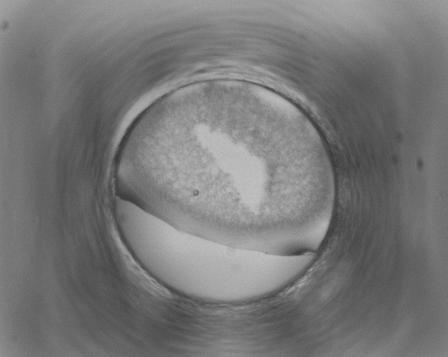 X0000061111522200512161400