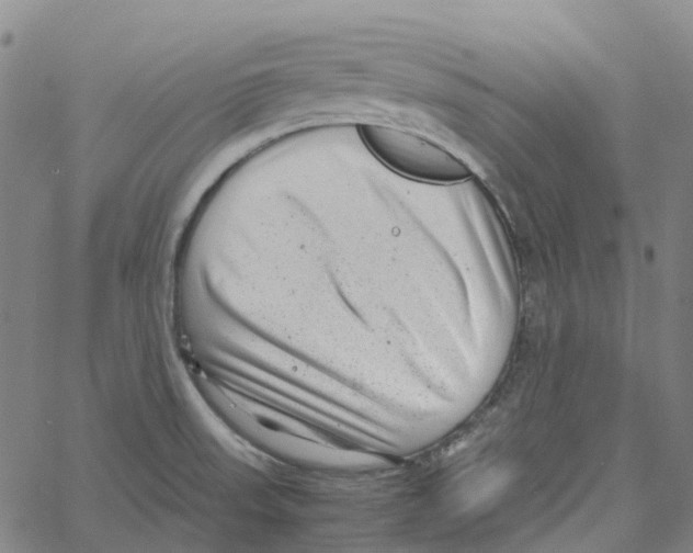 X0000061111523200512161400